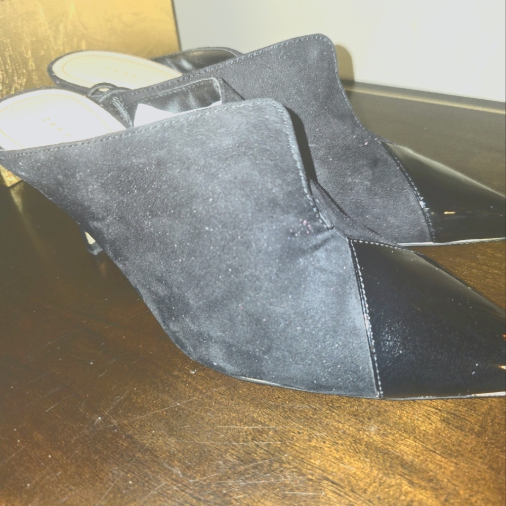 Zara Trafaluc heels